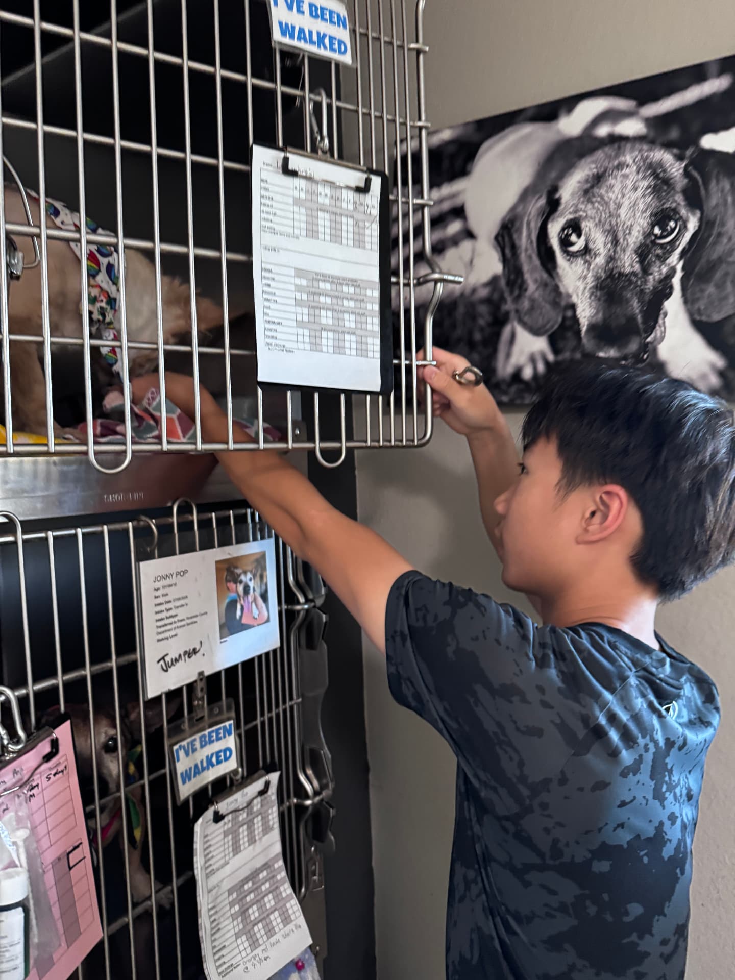 The founder helping care for animals at a shelter