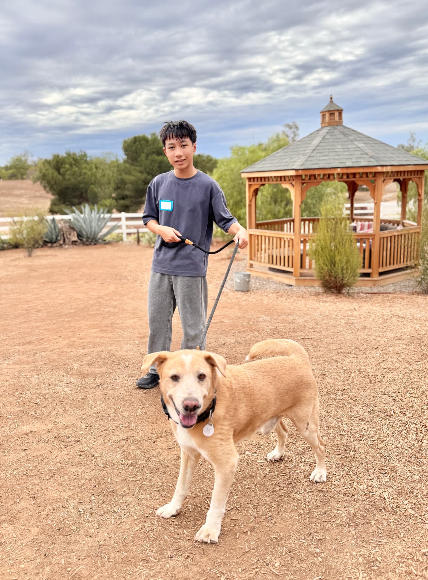 The founder walking a dog during a community service activity