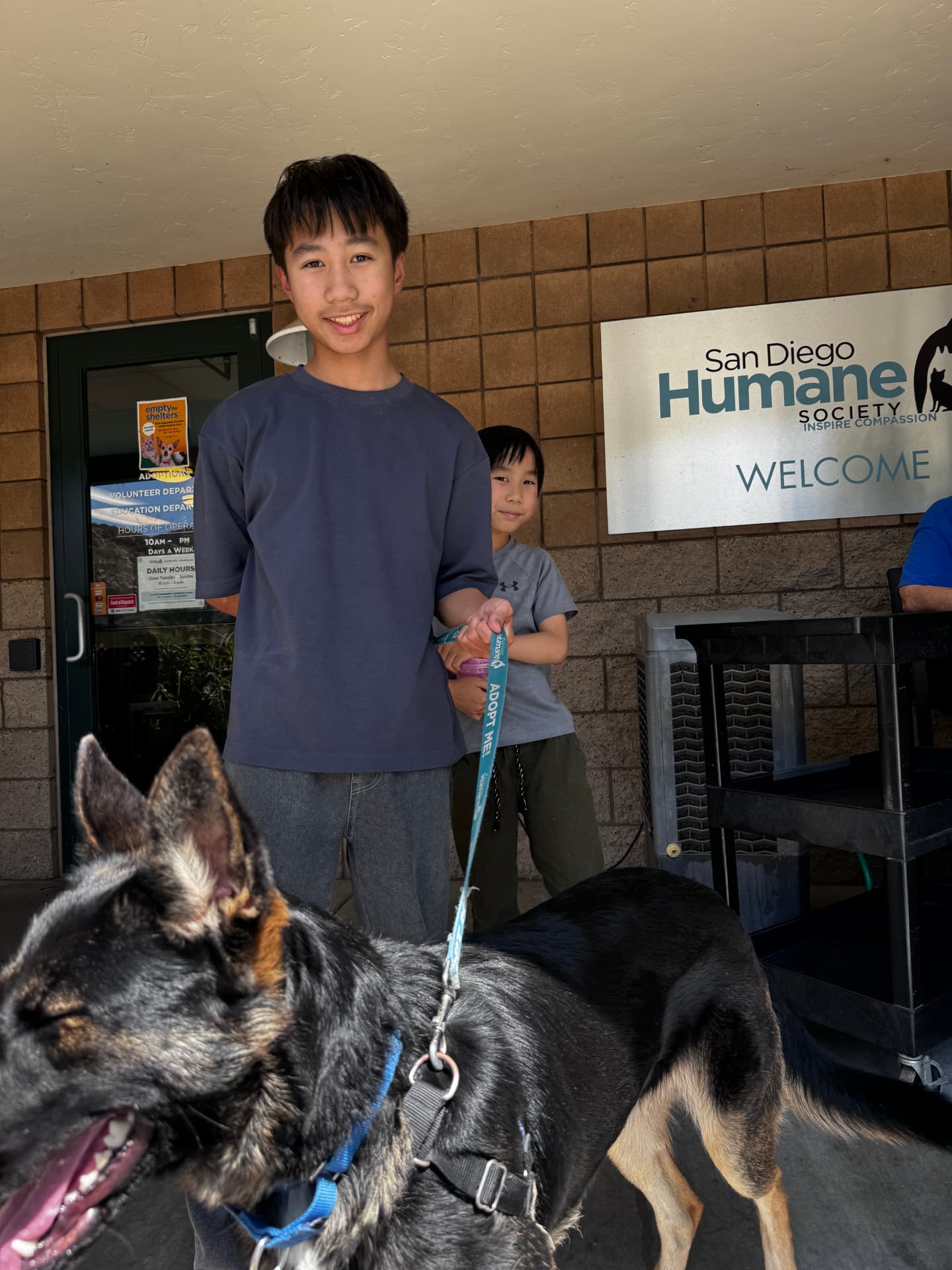 The founder volunteering with a dog at the San Diego Humane Society