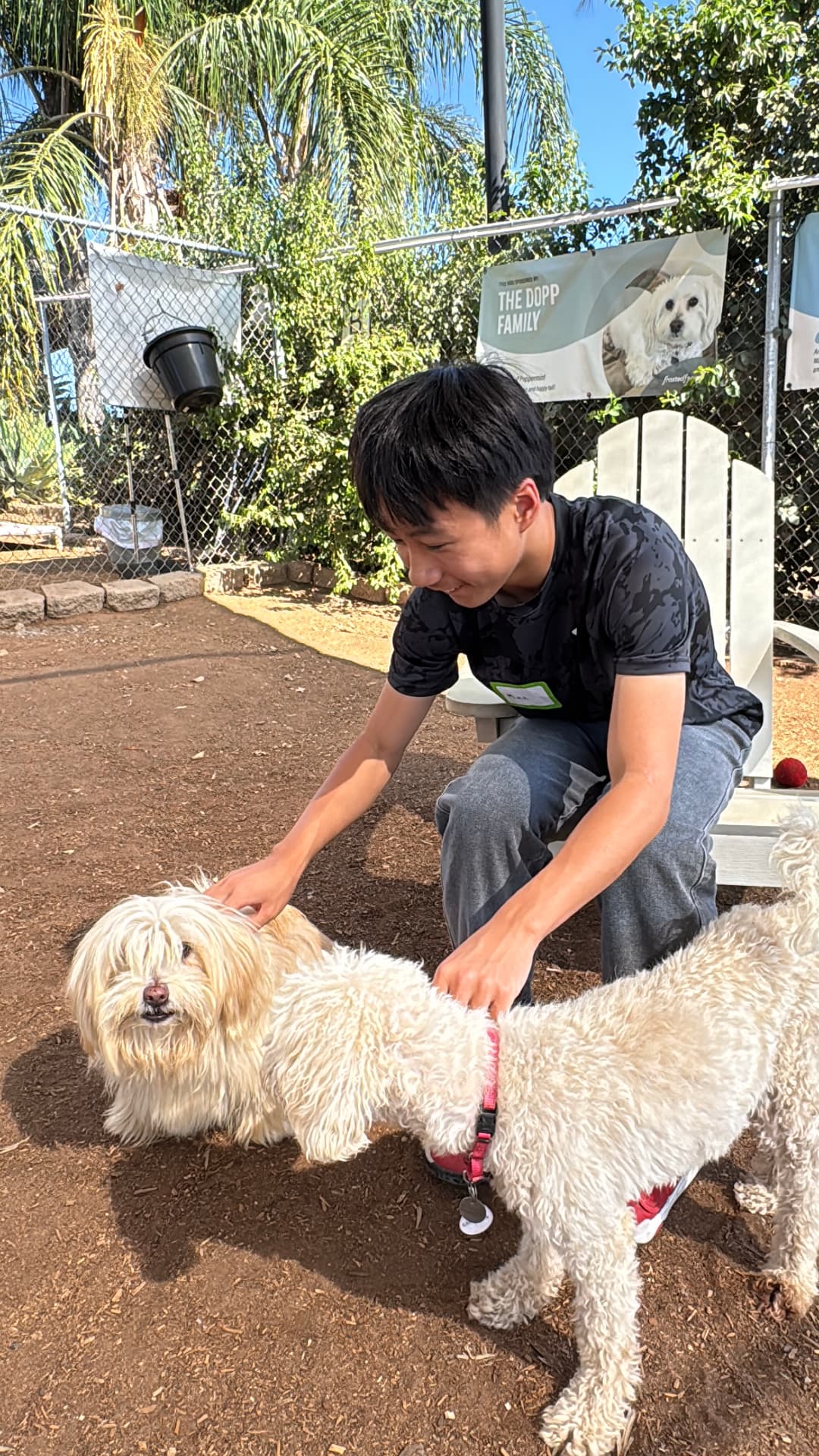 The founder spending time with dogs at Frosted Faces Foundation