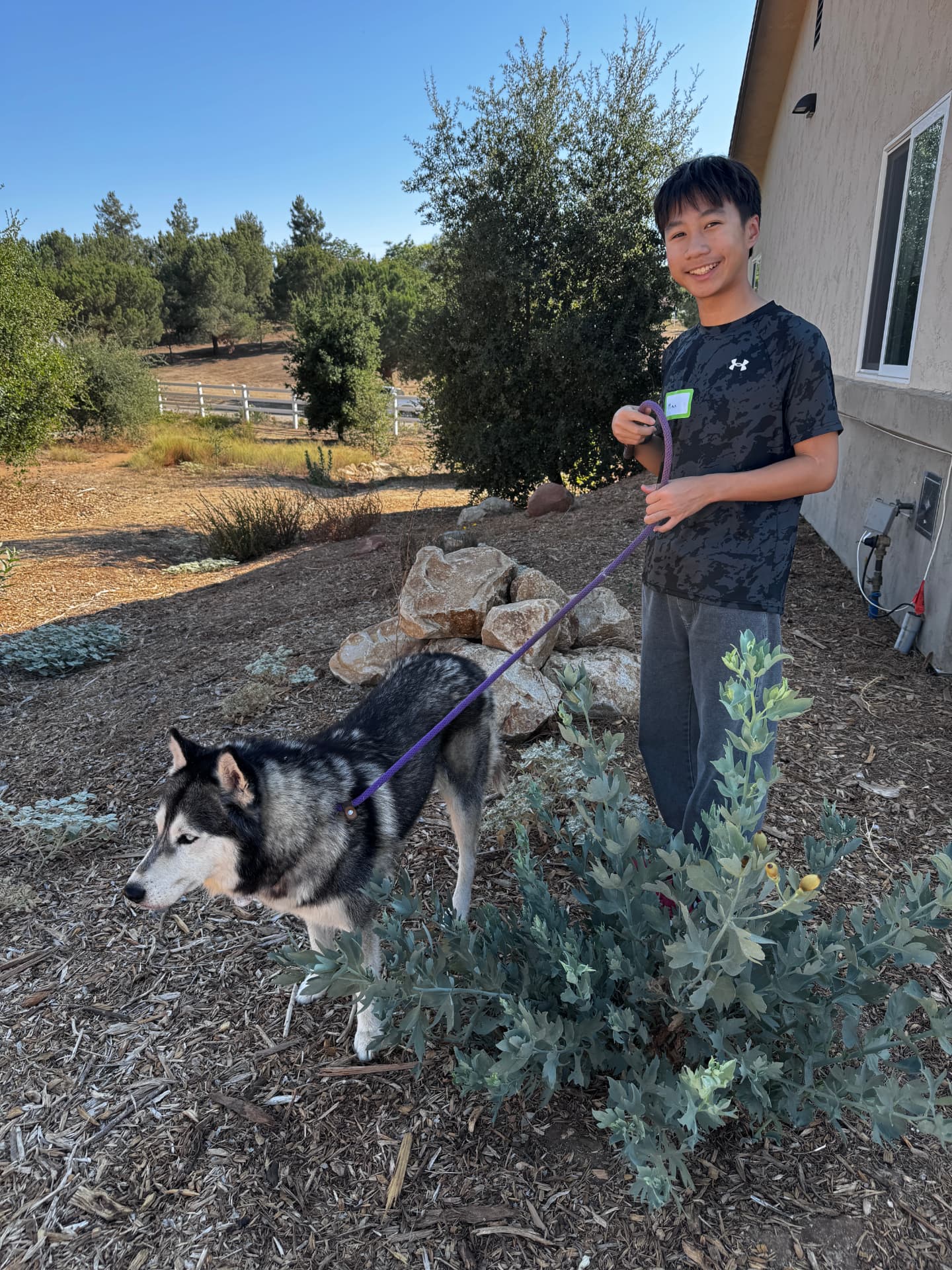 The founder walking a husky during a volunteer visit