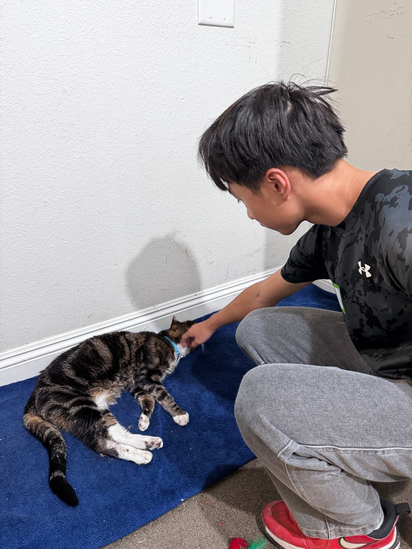 The founder gently caring for a shelter cat
