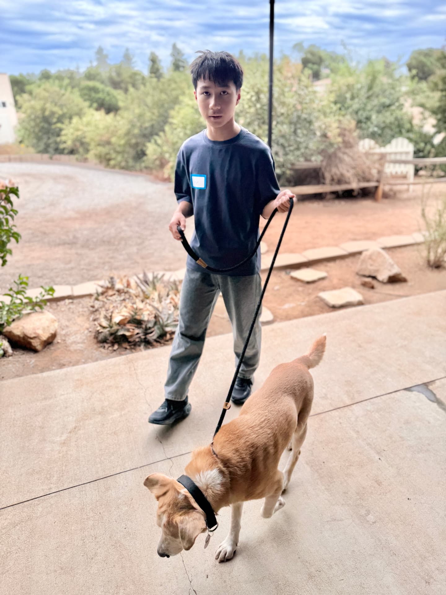 The founder preparing to walk a dog during a pet-care visit